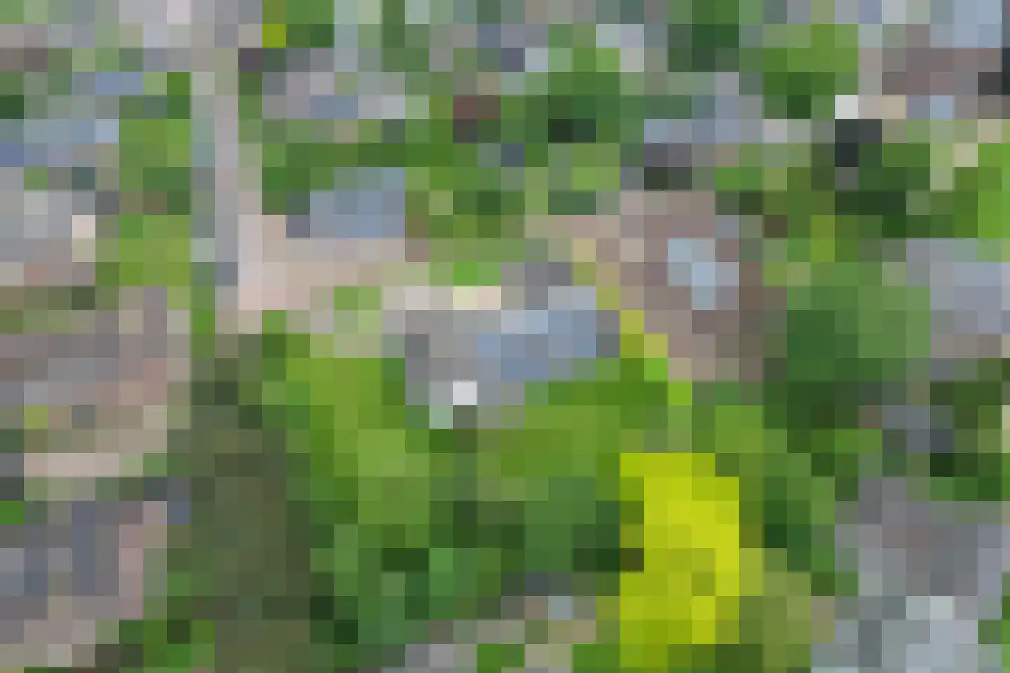 Steenweg 2 Haaften thumbnail 39