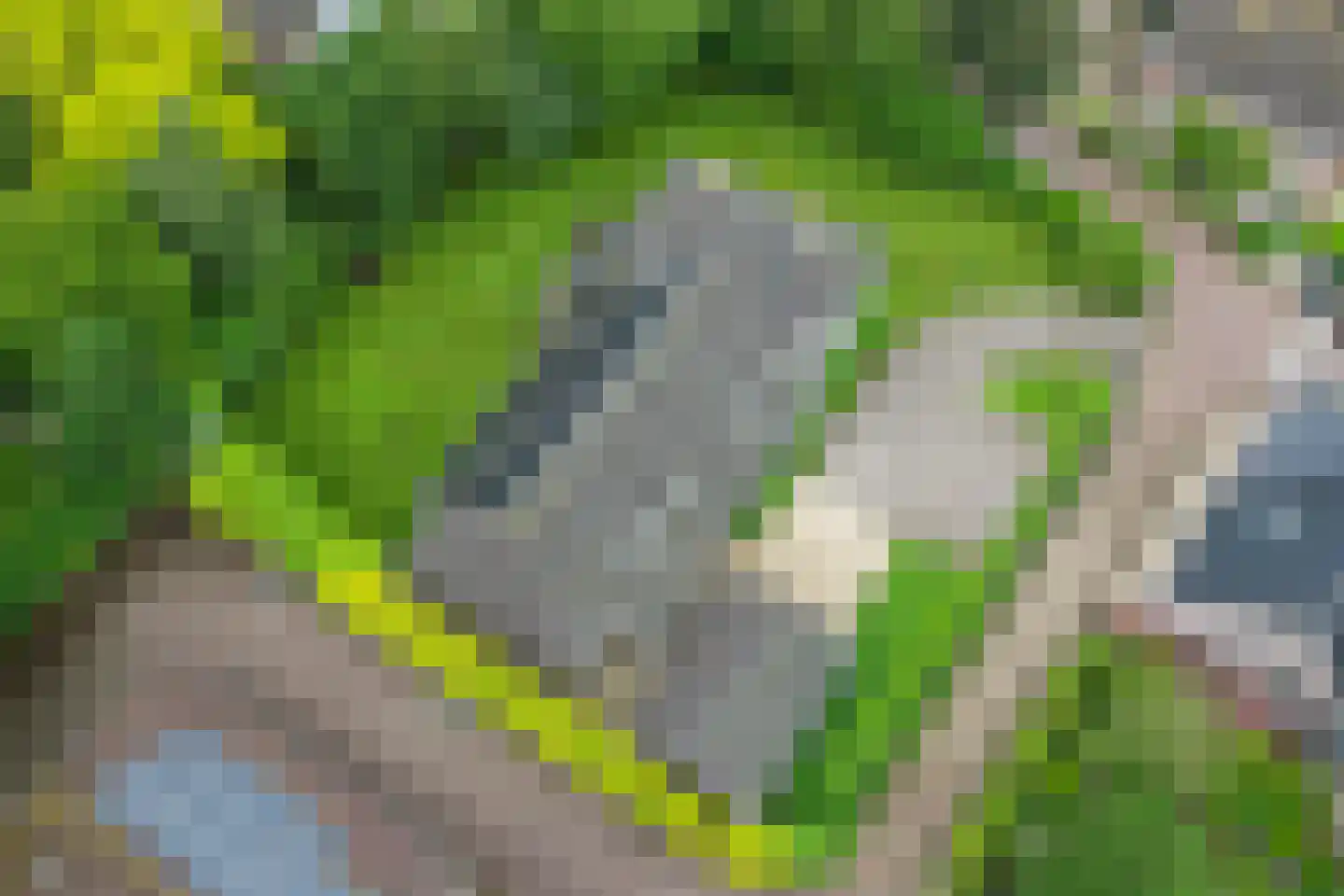 Steenweg 2 Haaften thumbnail 40