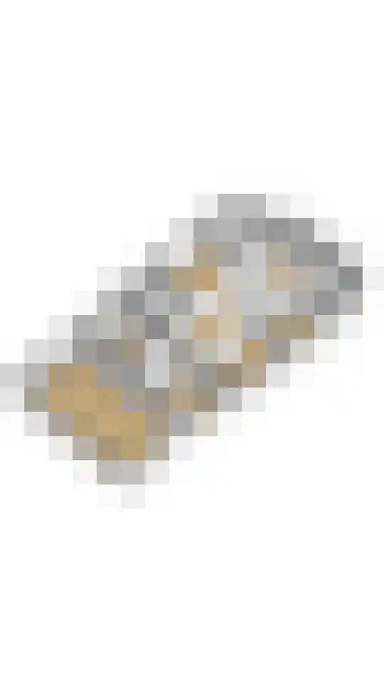 Steenweg 2 Haaften thumbnail 47