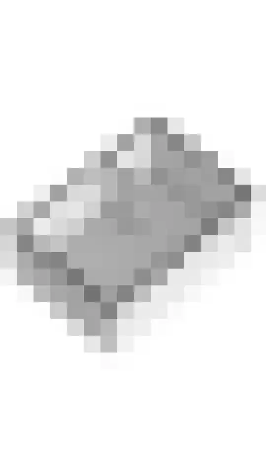 Steenweg 2 Haaften thumbnail 51