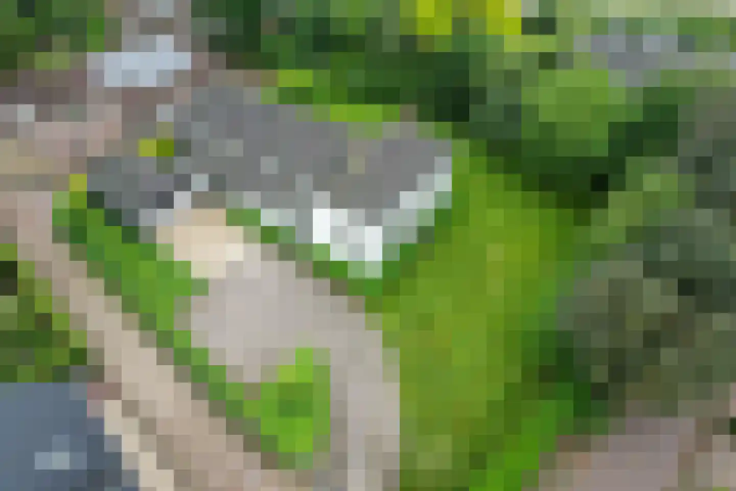 Steenweg 2 Haaften thumbnail 6