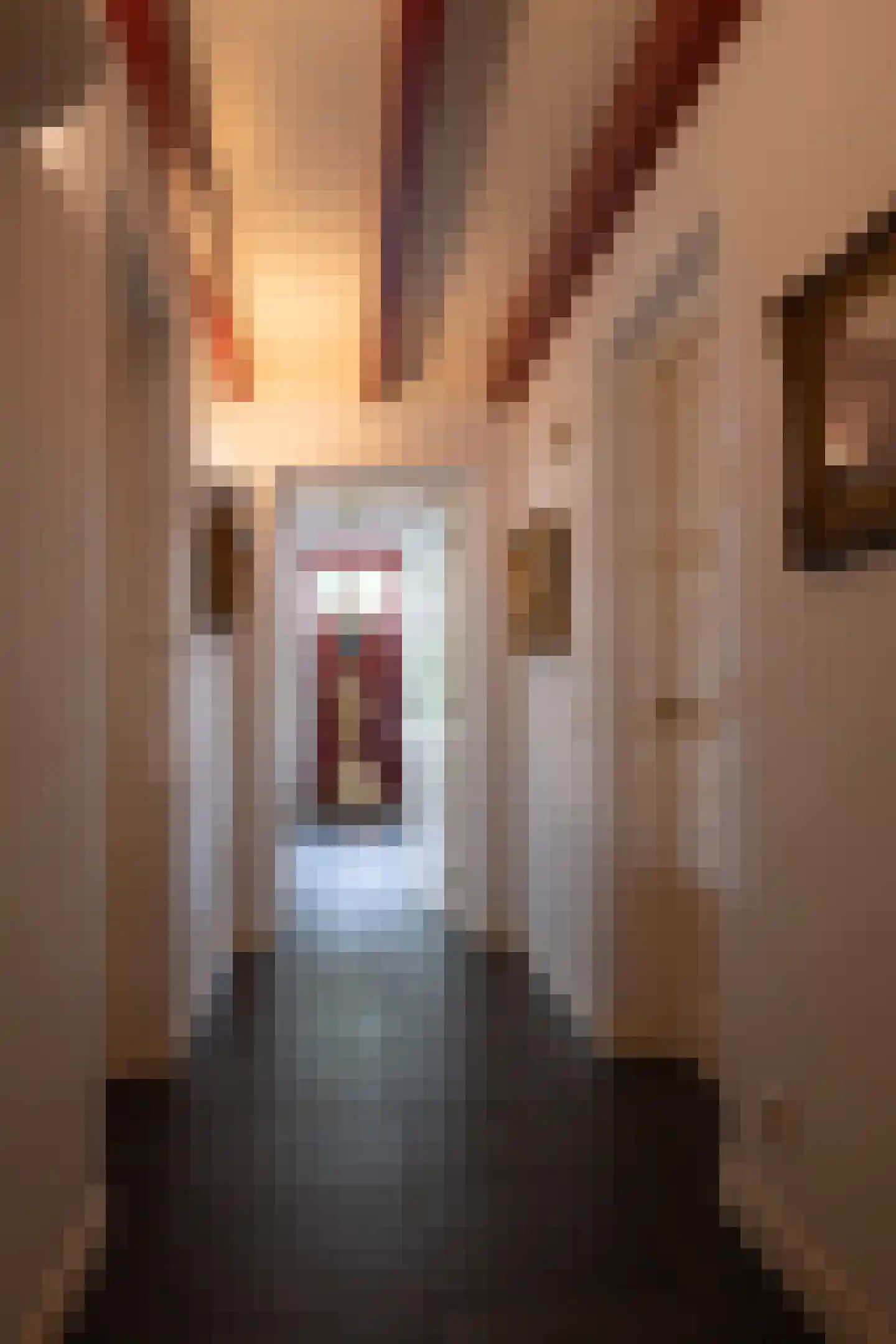 Steenweg 2 Haaften thumbnail 8