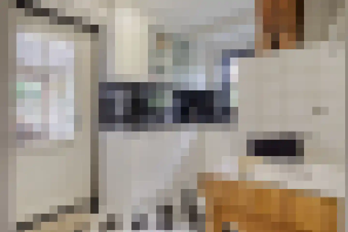 Steenweg 2 Schore thumbnail 16