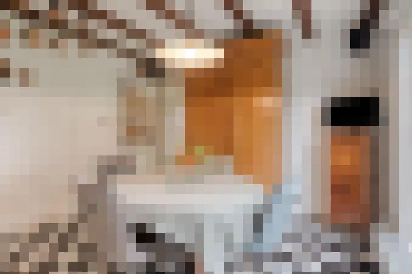 Steenweg 2 Schore thumbnail 22