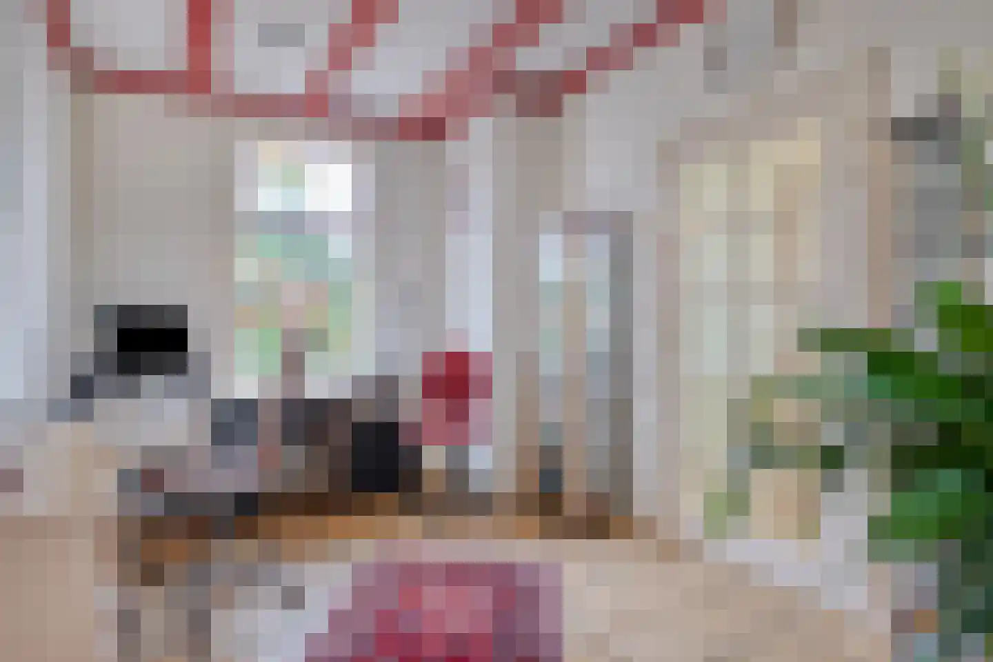 Steenweg 2 Schore thumbnail 25