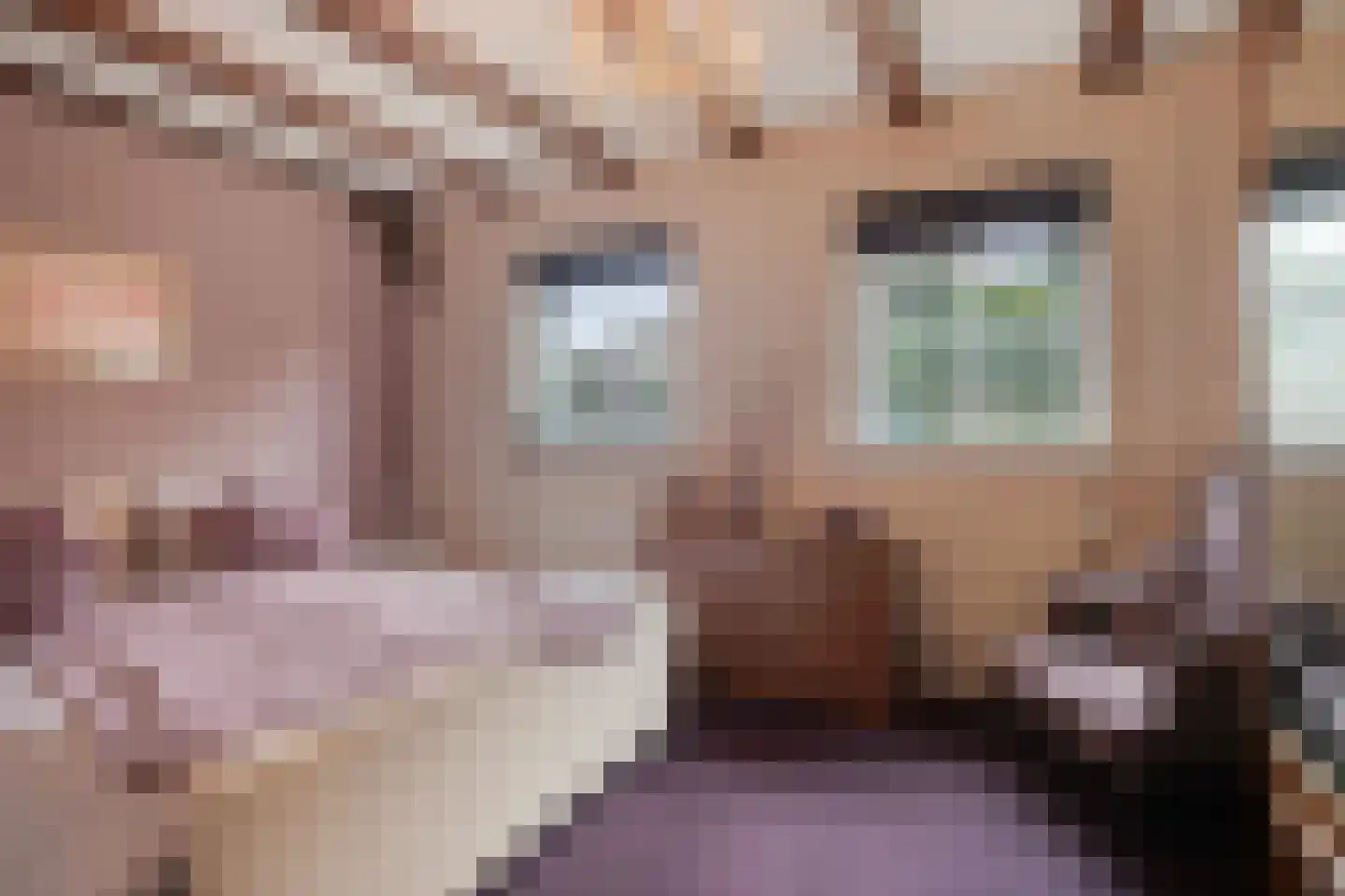 Steenweg 2 Schore thumbnail 26