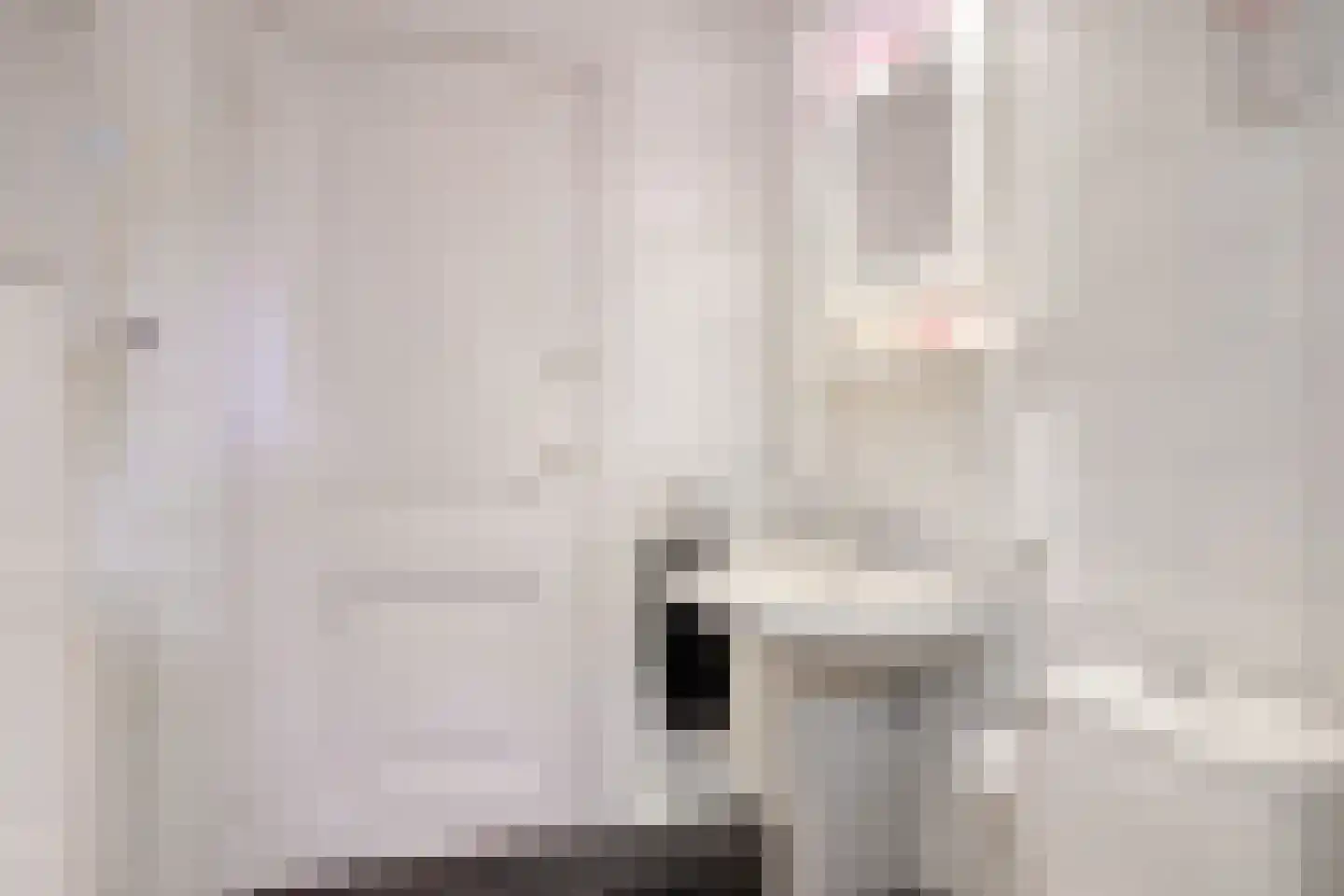 Steenweg 2 Schore thumbnail 29