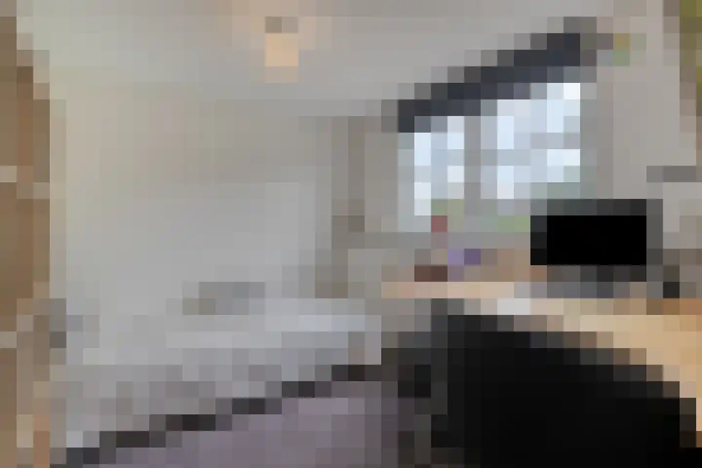 Steenweg 2 Schore thumbnail 32