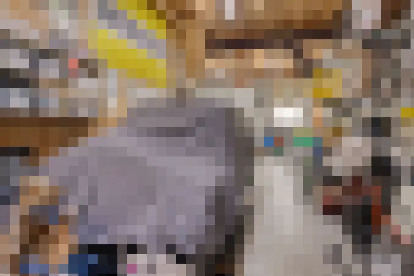 Steenweg 2 Schore thumbnail 40