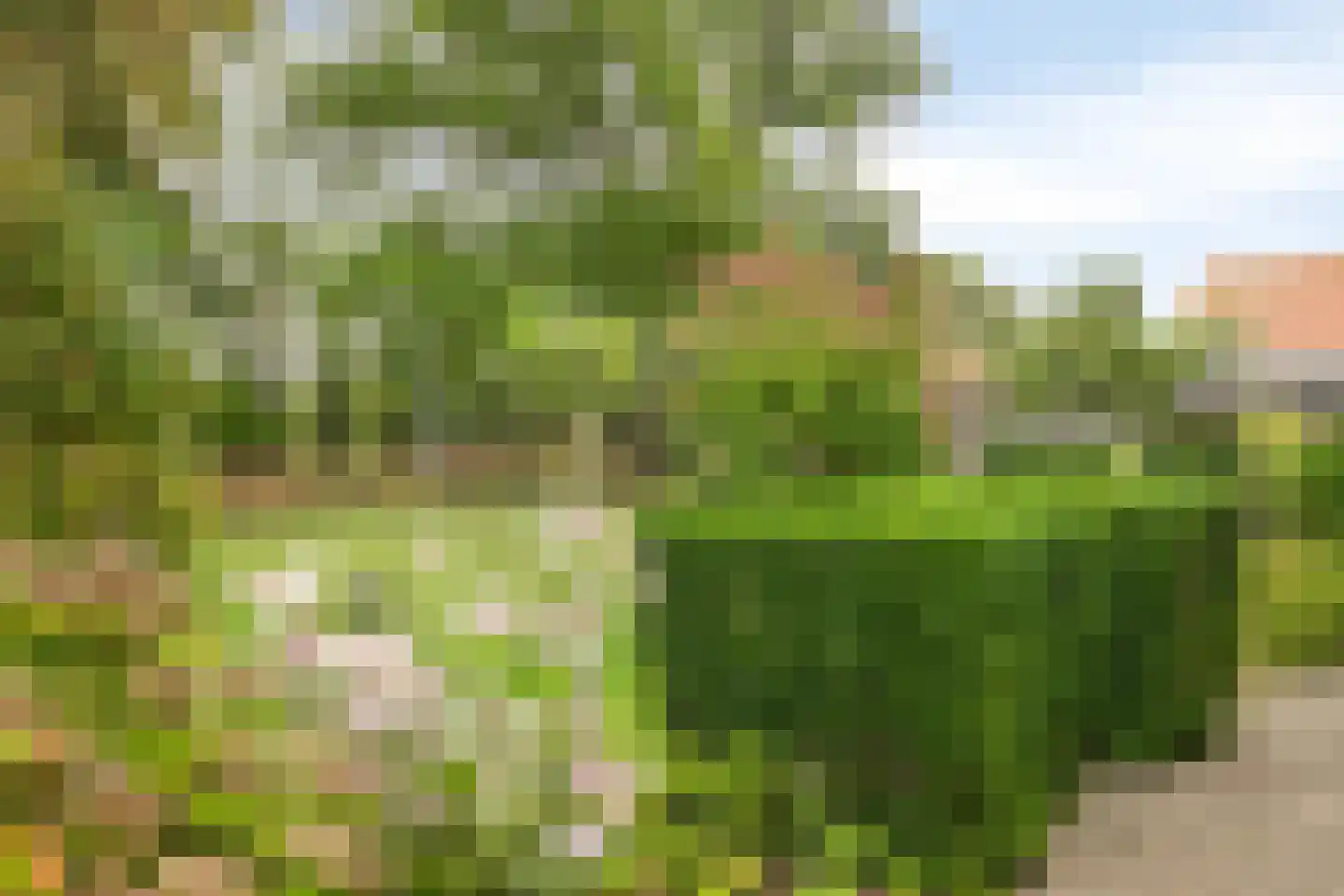 Steenweg 2 Schore thumbnail 5