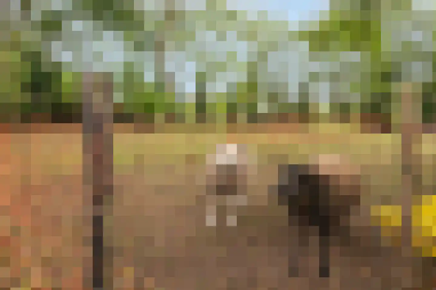 Steenweg 2 Schore thumbnail 52