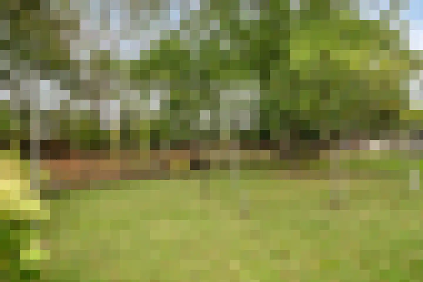 Steenweg 2 Schore thumbnail 55
