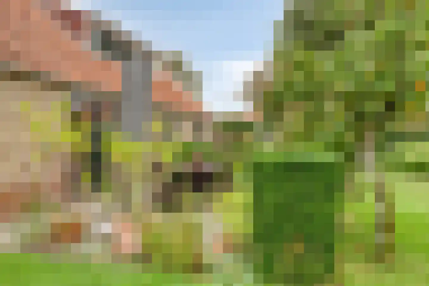 Steenweg 2 Schore thumbnail 56