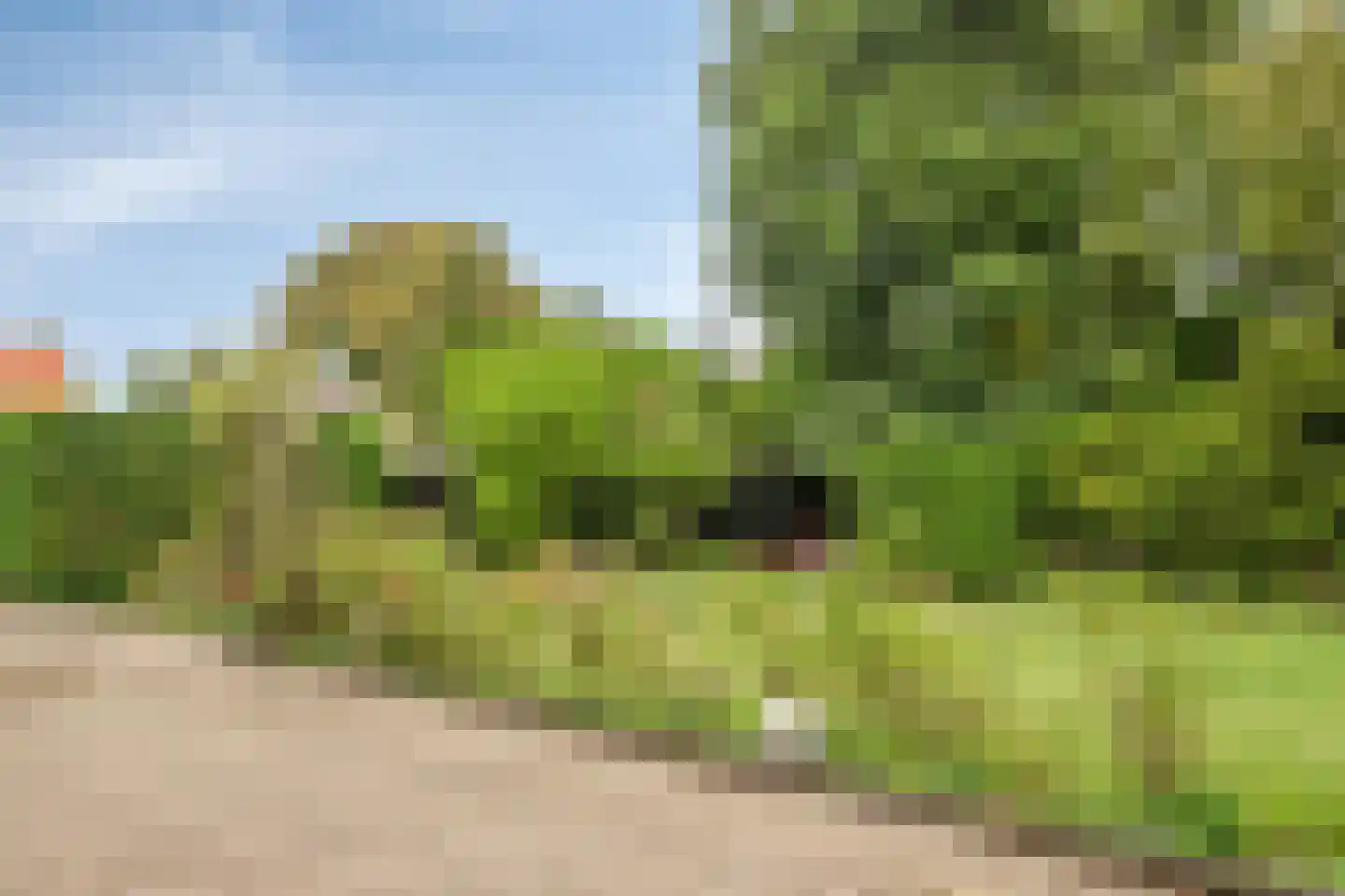 Steenweg 2 Schore thumbnail 58