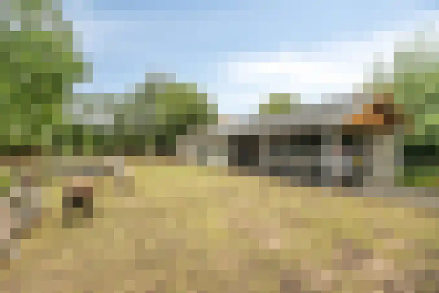 Steenweg 2 Schore thumbnail 59