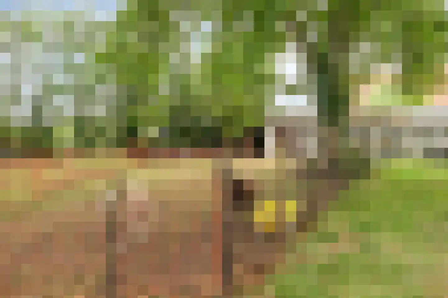 Steenweg 2 Schore thumbnail 6