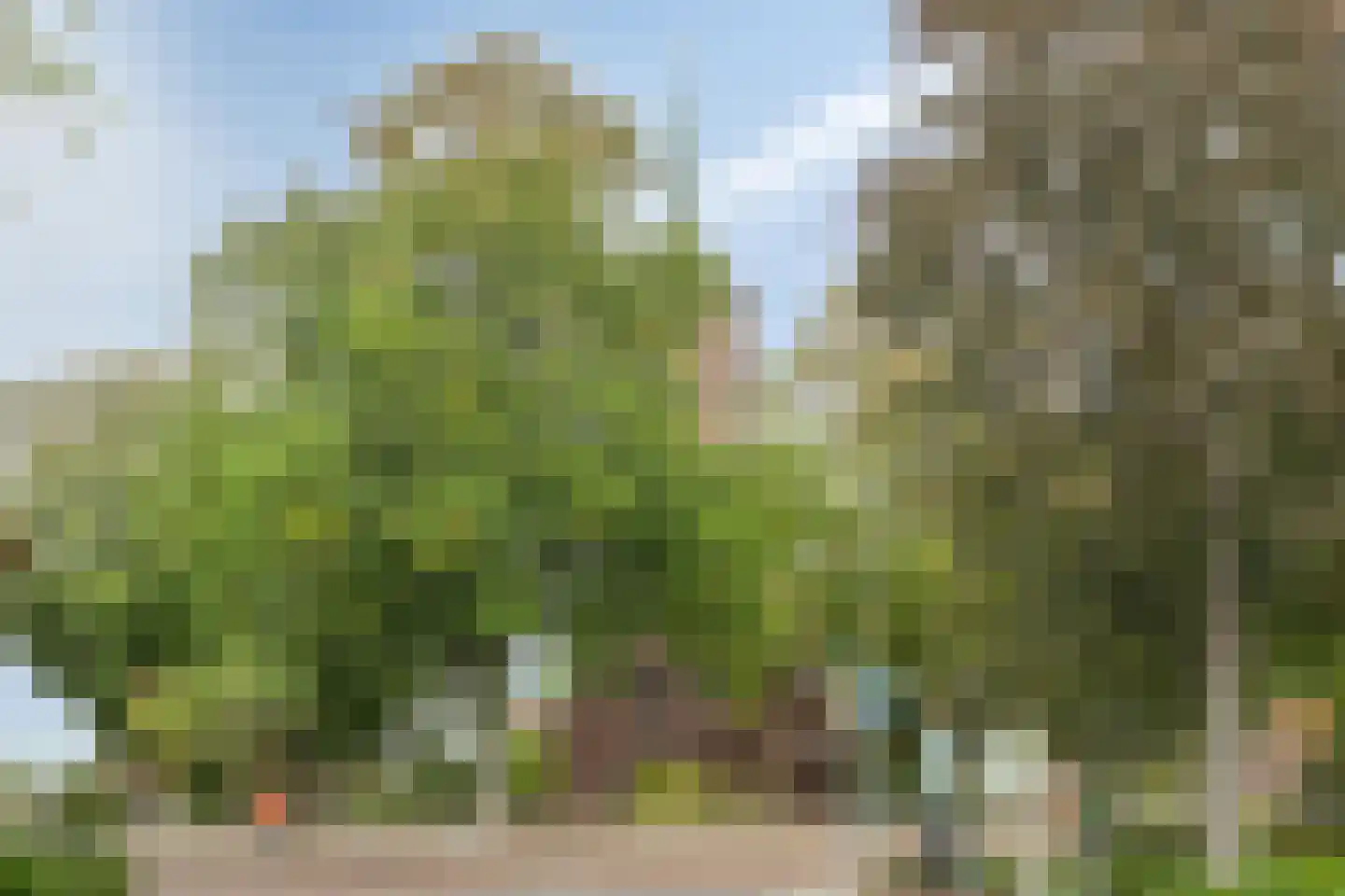 Steenweg 2 Schore thumbnail 62
