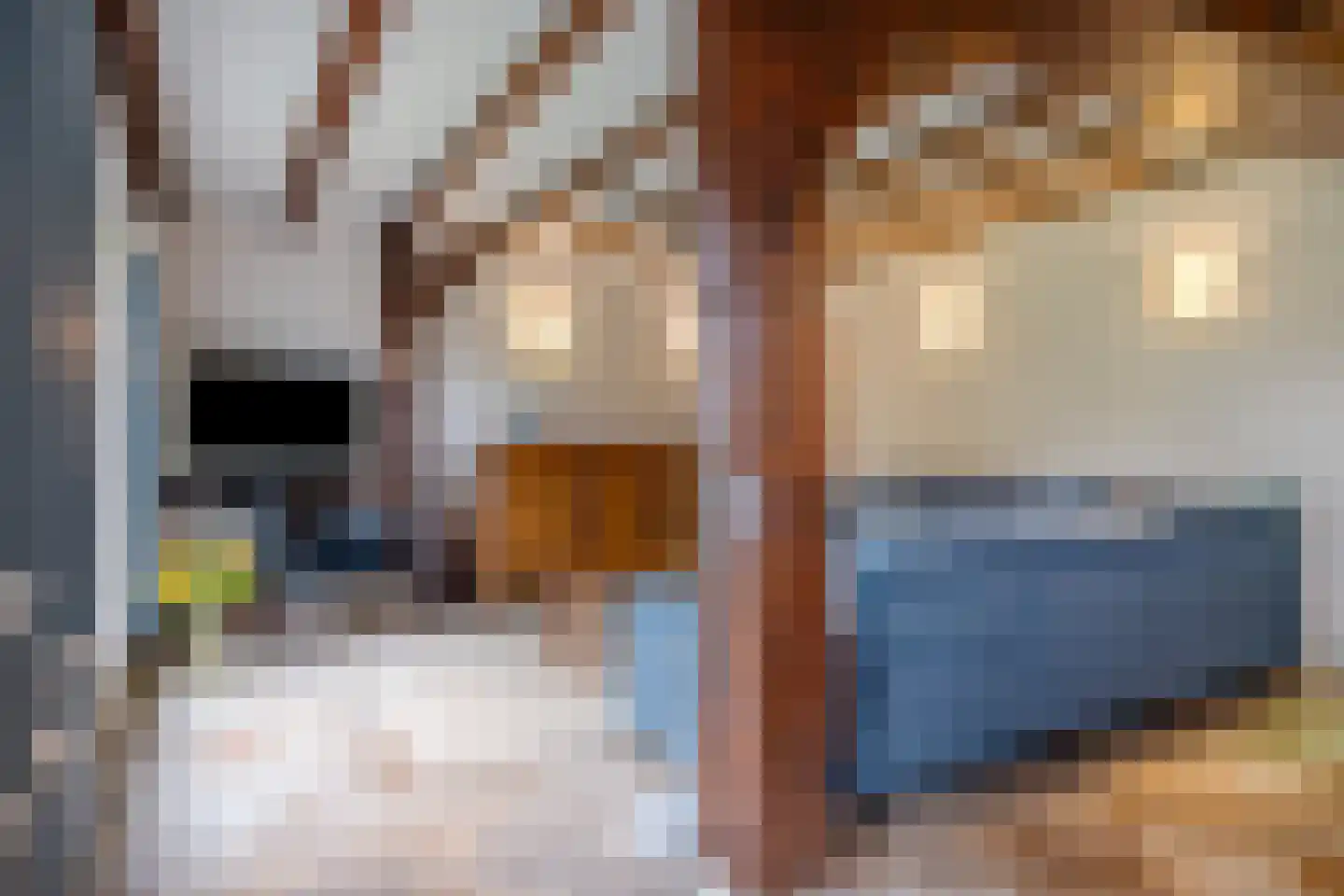 Steenweg 2 Schore thumbnail 9