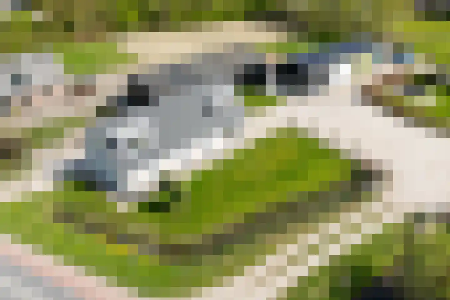 Steenweg 2 Waardenburg