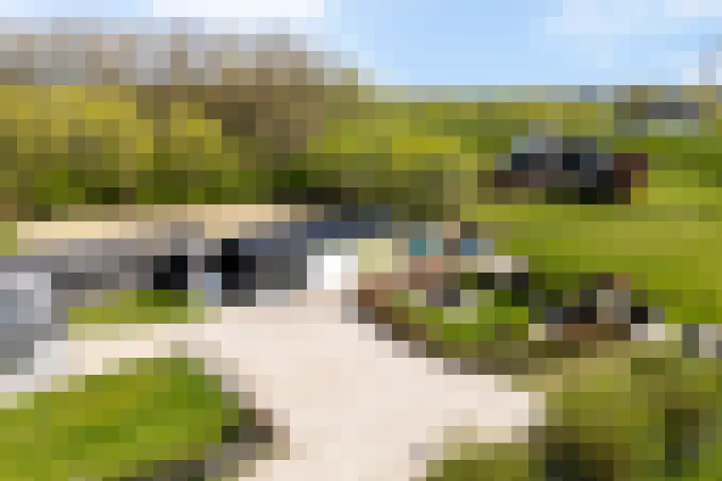 Steenweg 2 Waardenburg thumbnail 24