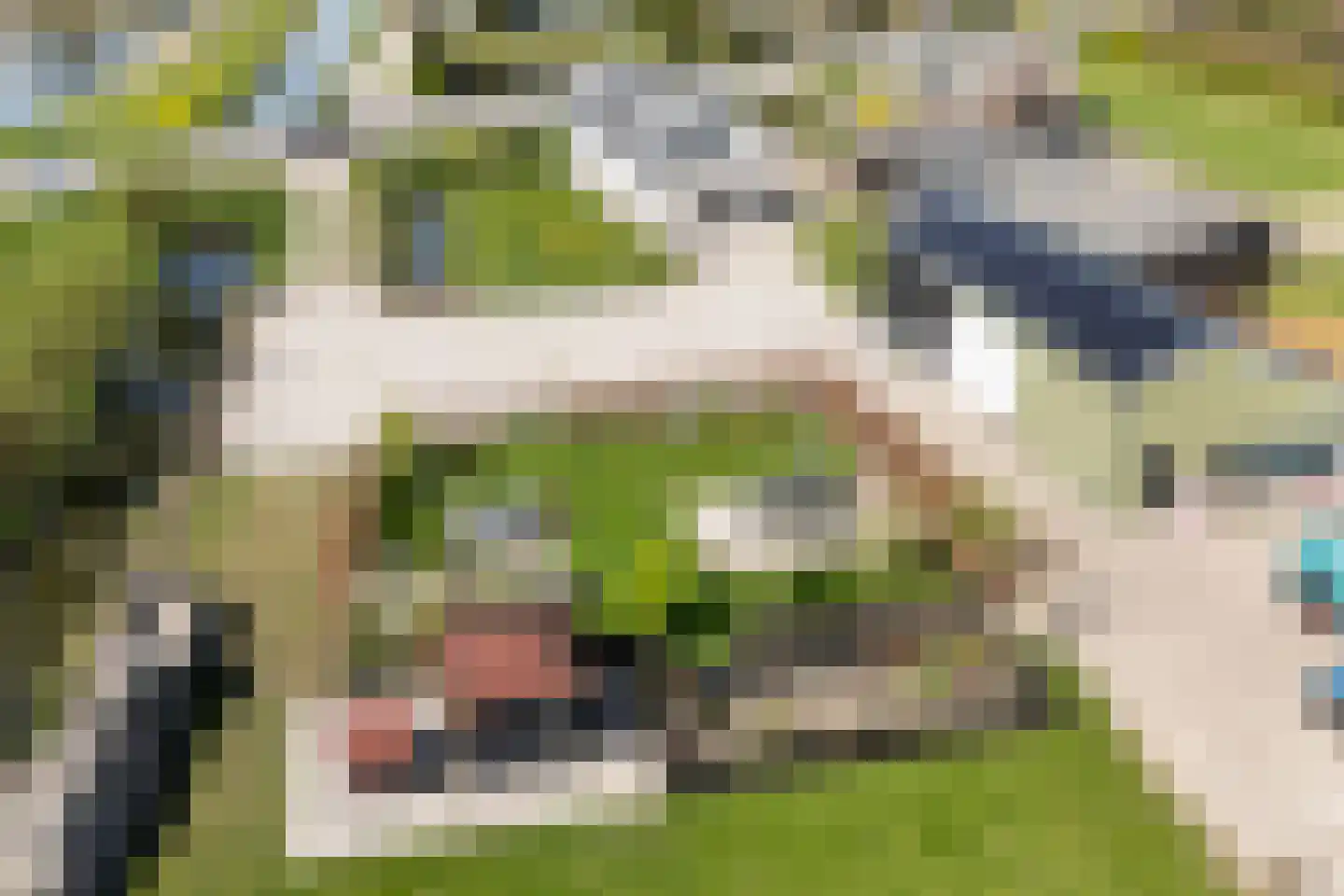 Steenweg 2 Waardenburg thumbnail 25