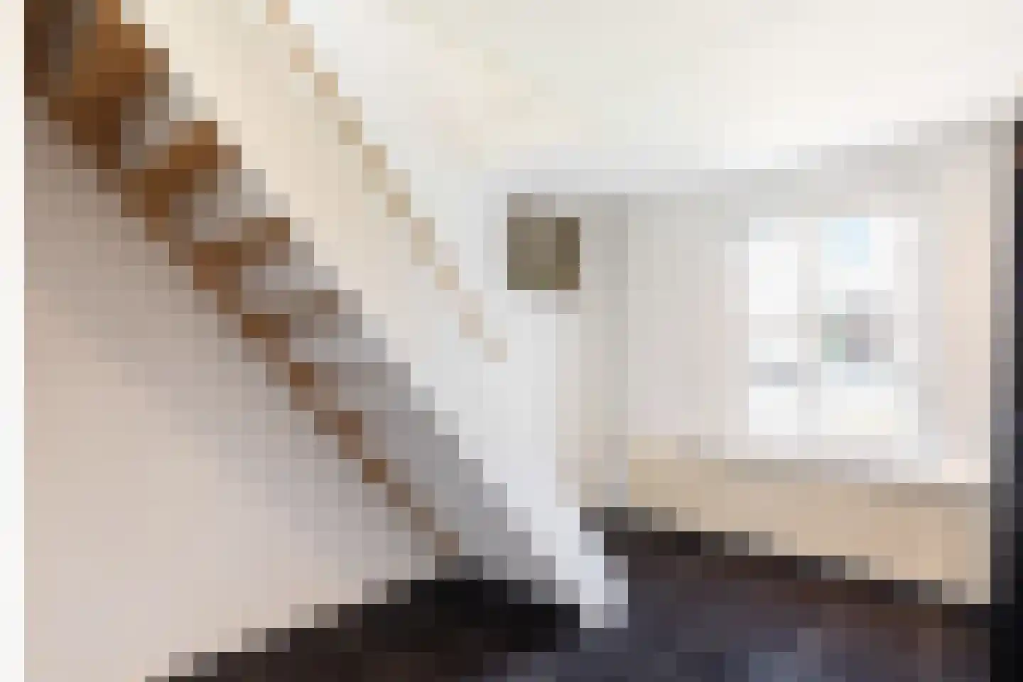 Steenweg 2 Waardenburg thumbnail 28