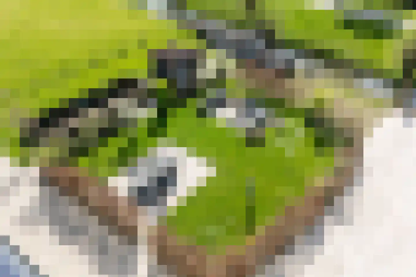 Steenweg 2 Waardenburg thumbnail 37