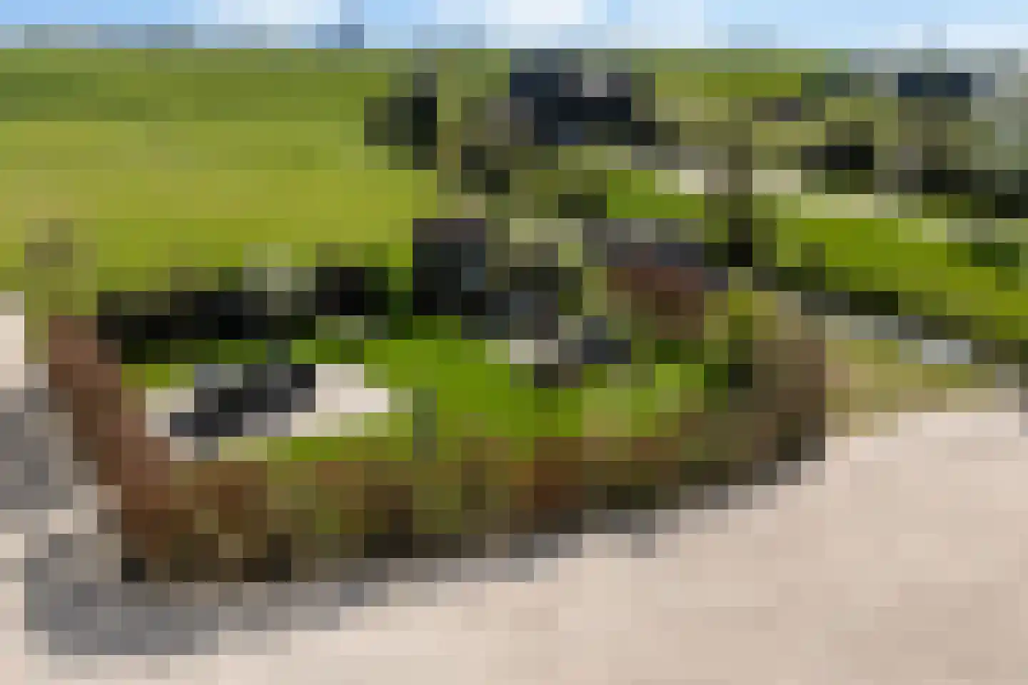 Steenweg 2 Waardenburg thumbnail 4