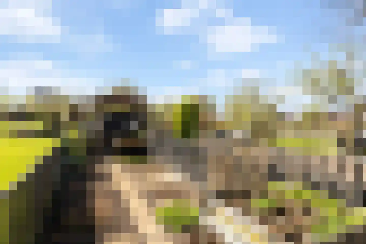 Steenweg 2 Waardenburg thumbnail 40