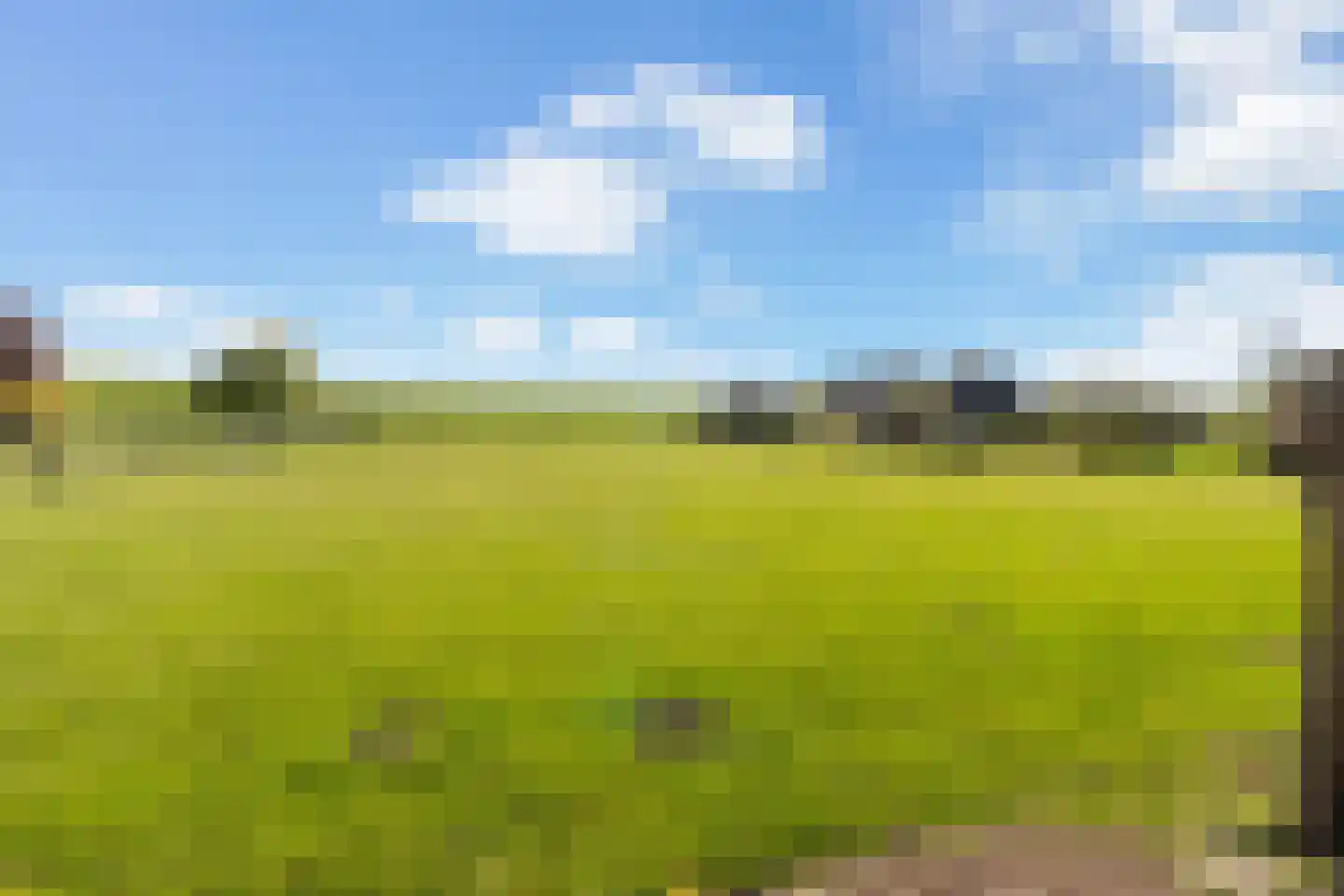Steenweg 2 Waardenburg thumbnail 42