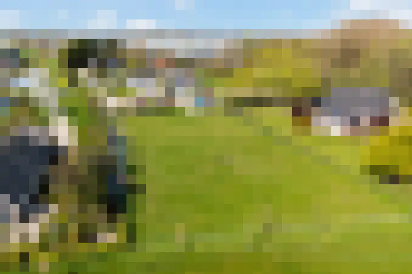 Steenweg 2 Waardenburg thumbnail 5
