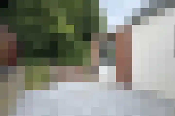 Steenweg 21 a Moerdijk thumbnail 44