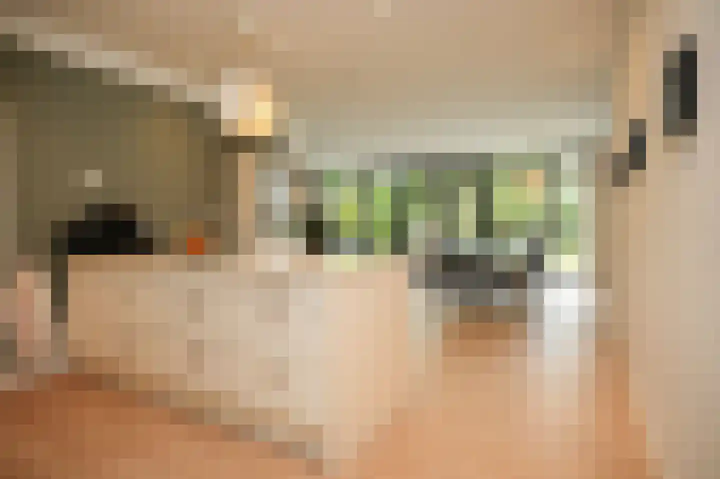 Steenweg 22 Zaltbommel thumbnail 11