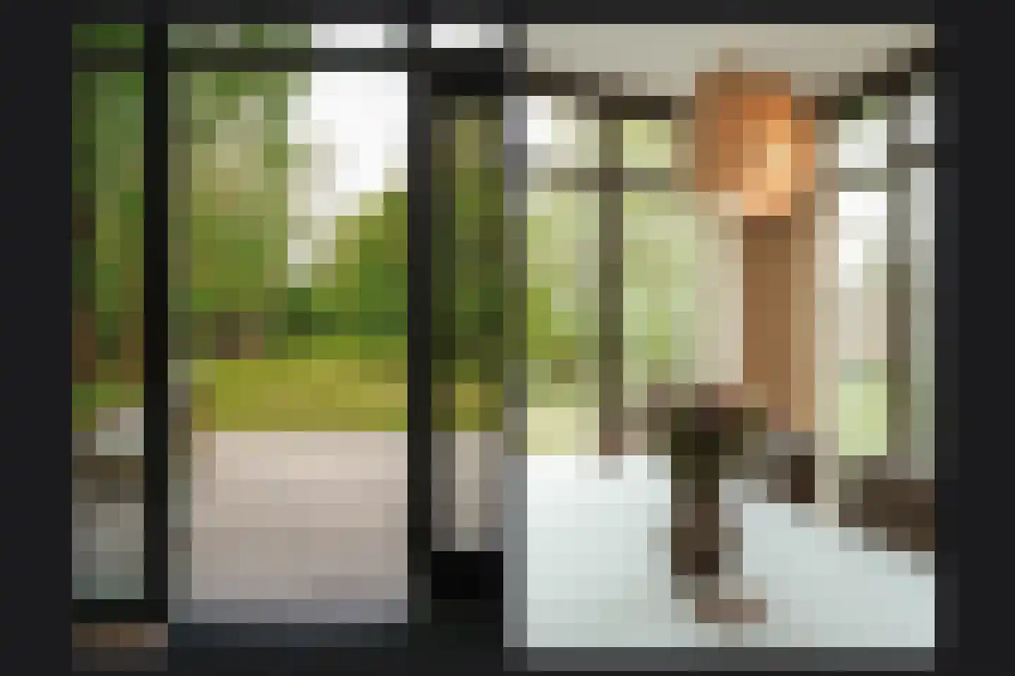 Steenweg 22 Zaltbommel thumbnail 14