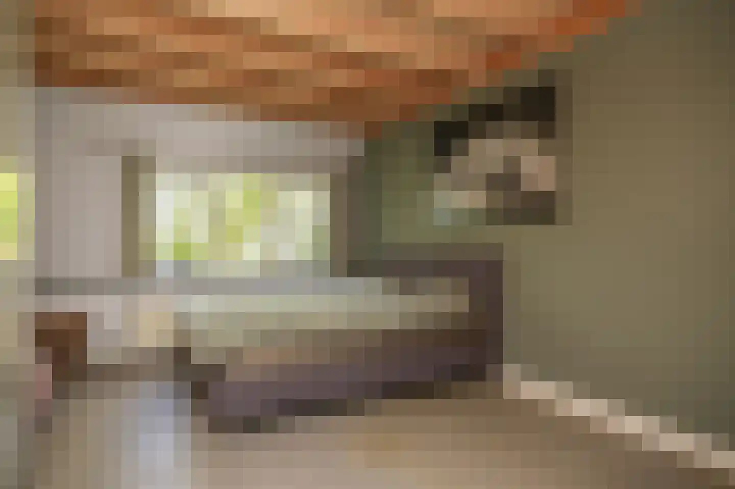 Steenweg 22 Zaltbommel thumbnail 27