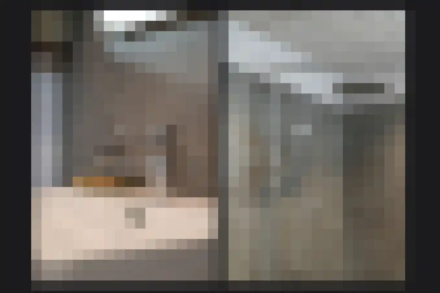 Steenweg 22 Zaltbommel thumbnail 31