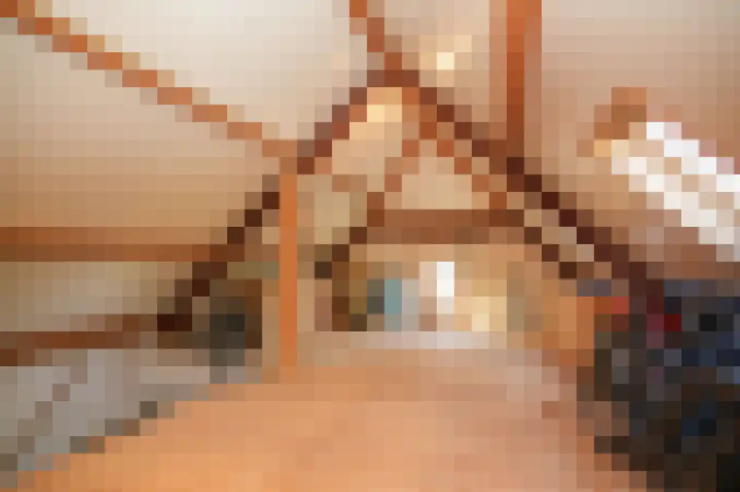 Steenweg 22 Zaltbommel thumbnail 33