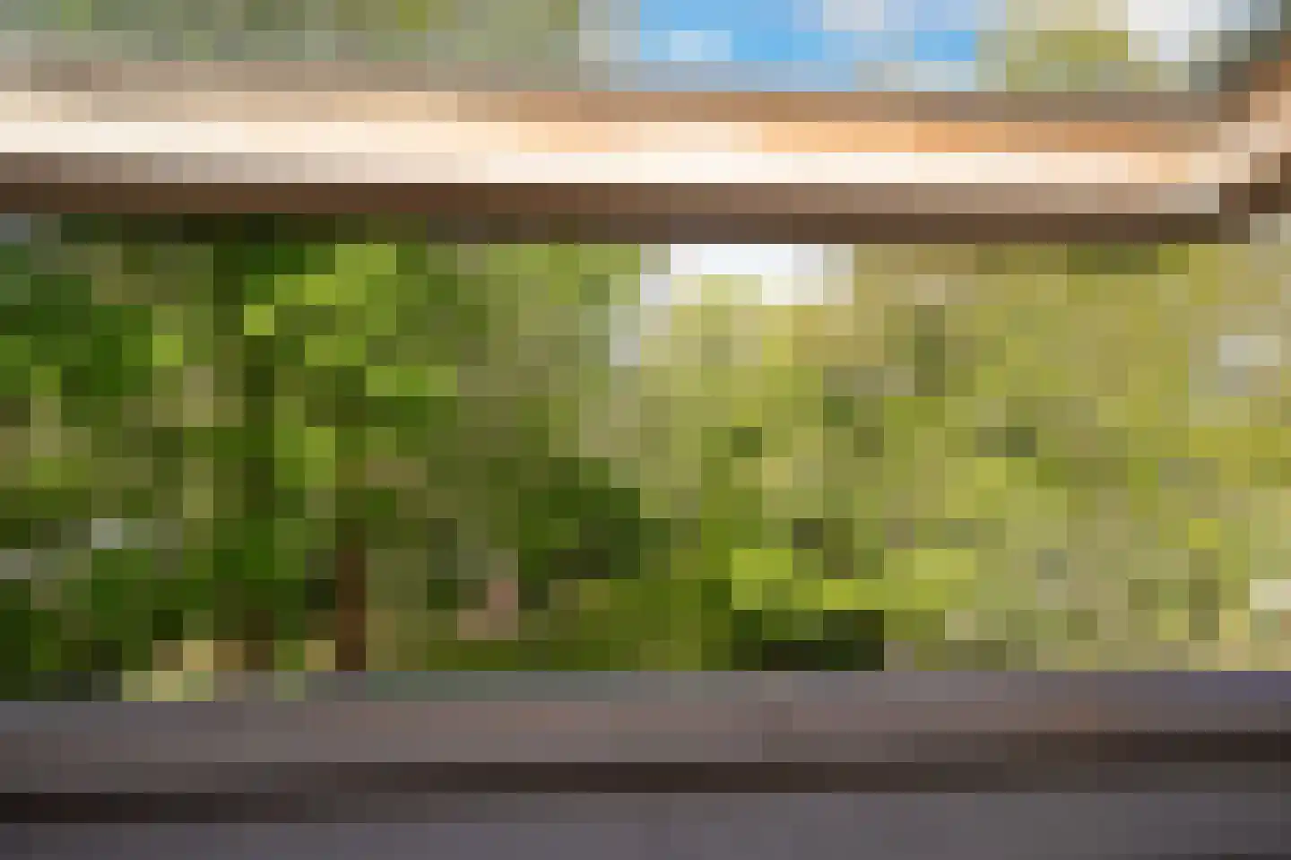 Steenweg 22 Zaltbommel thumbnail 34