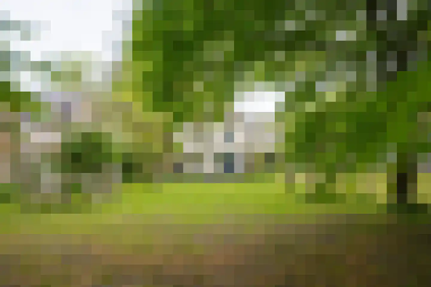 Steenweg 22 Zaltbommel thumbnail 40