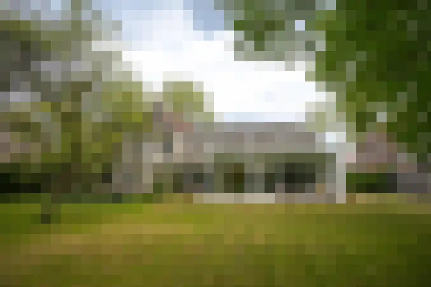 Steenweg 22 Zaltbommel thumbnail 5
