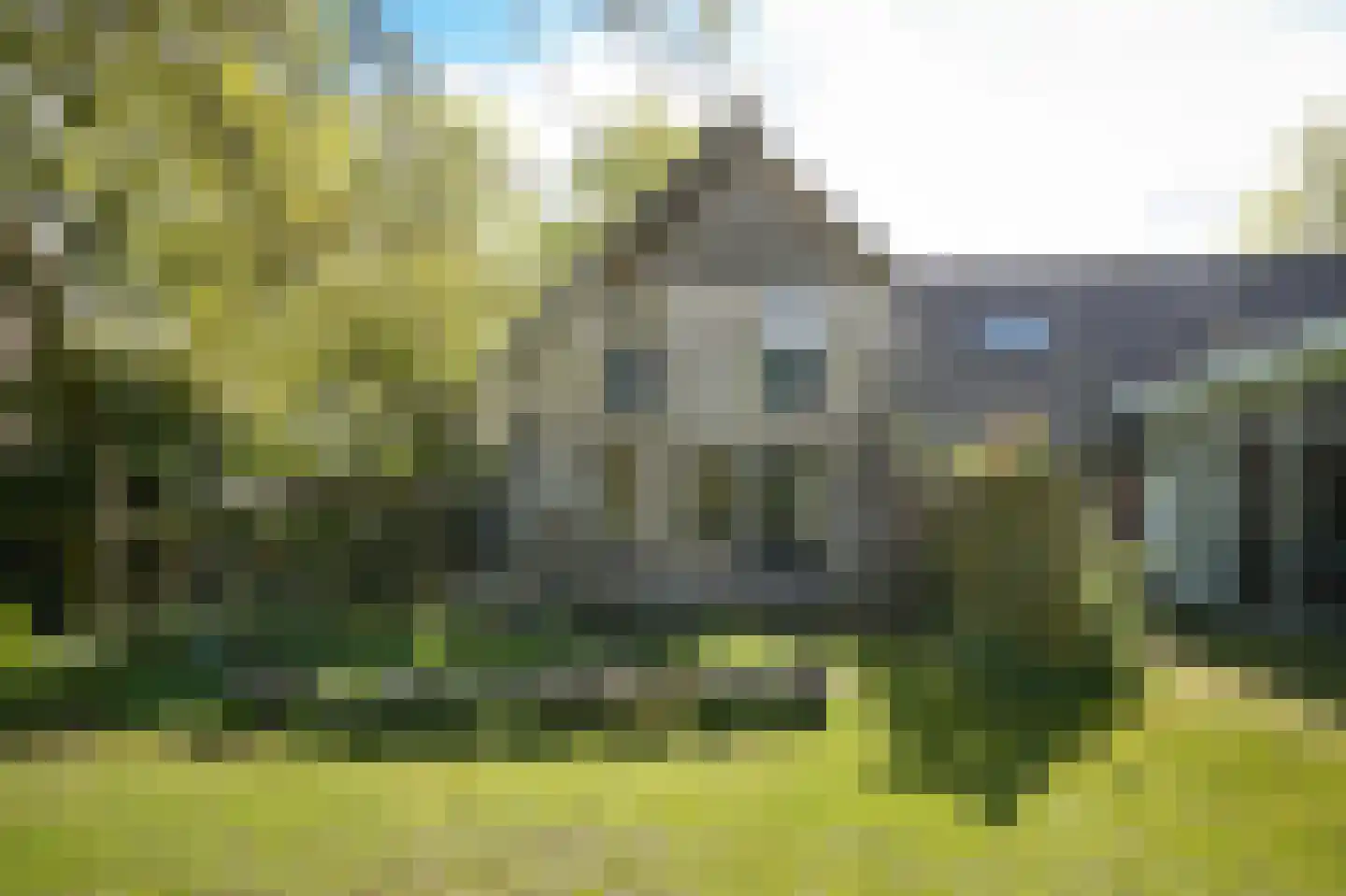 Steenweg 22 Zaltbommel thumbnail 59