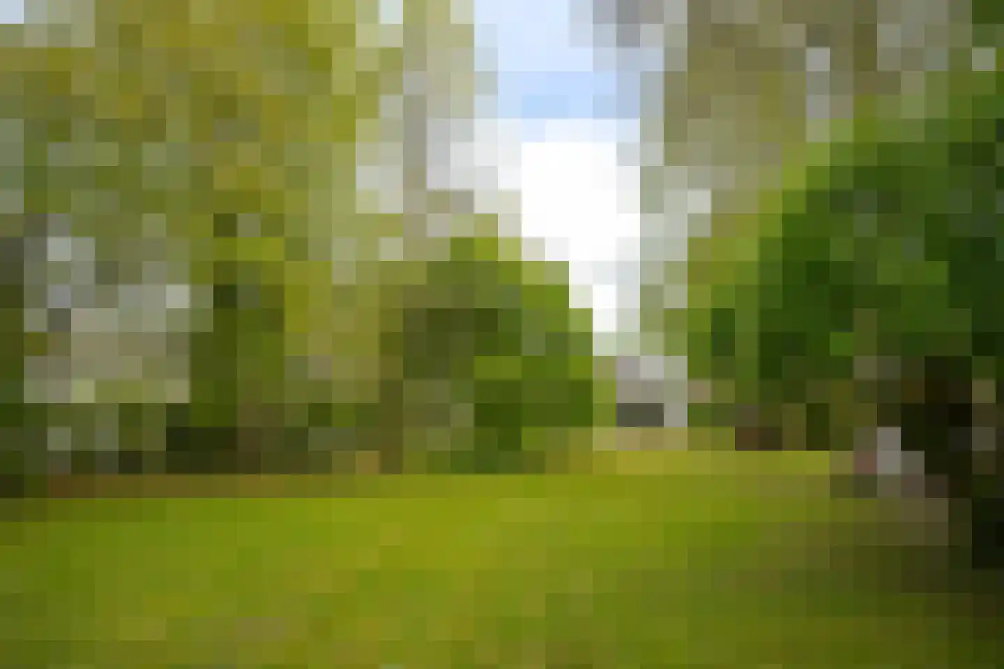 Steenweg 22 Zaltbommel thumbnail 6