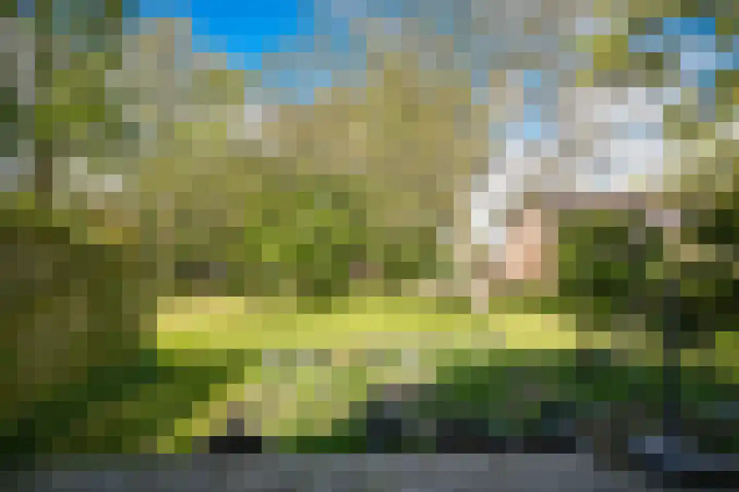 Steenweg 22 Zaltbommel thumbnail 60