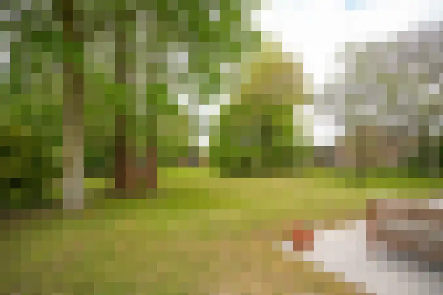 Steenweg 22 Zaltbommel thumbnail 61