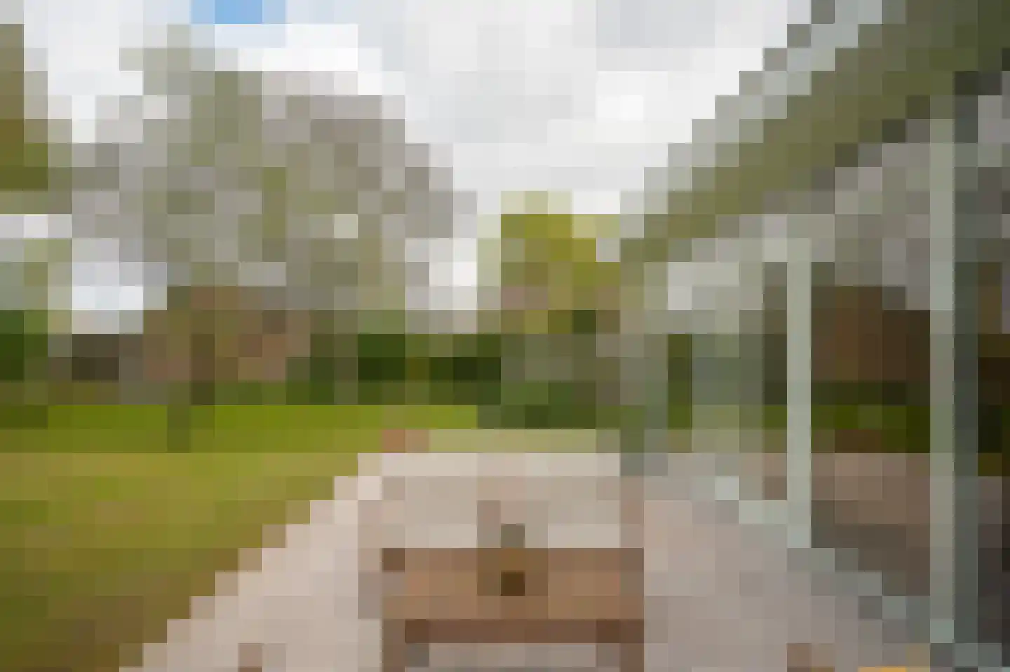 Steenweg 22 Zaltbommel thumbnail 62