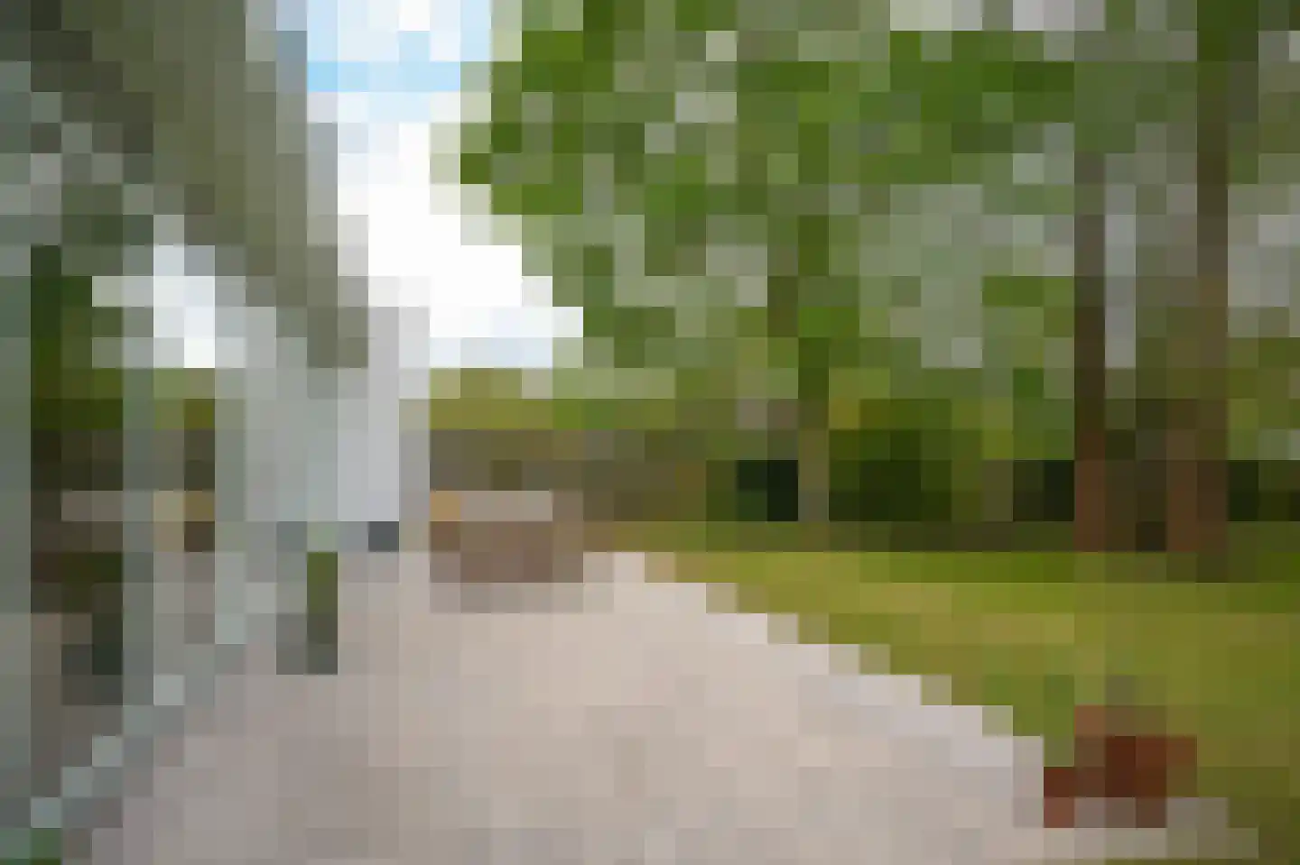 Steenweg 22 Zaltbommel thumbnail 63