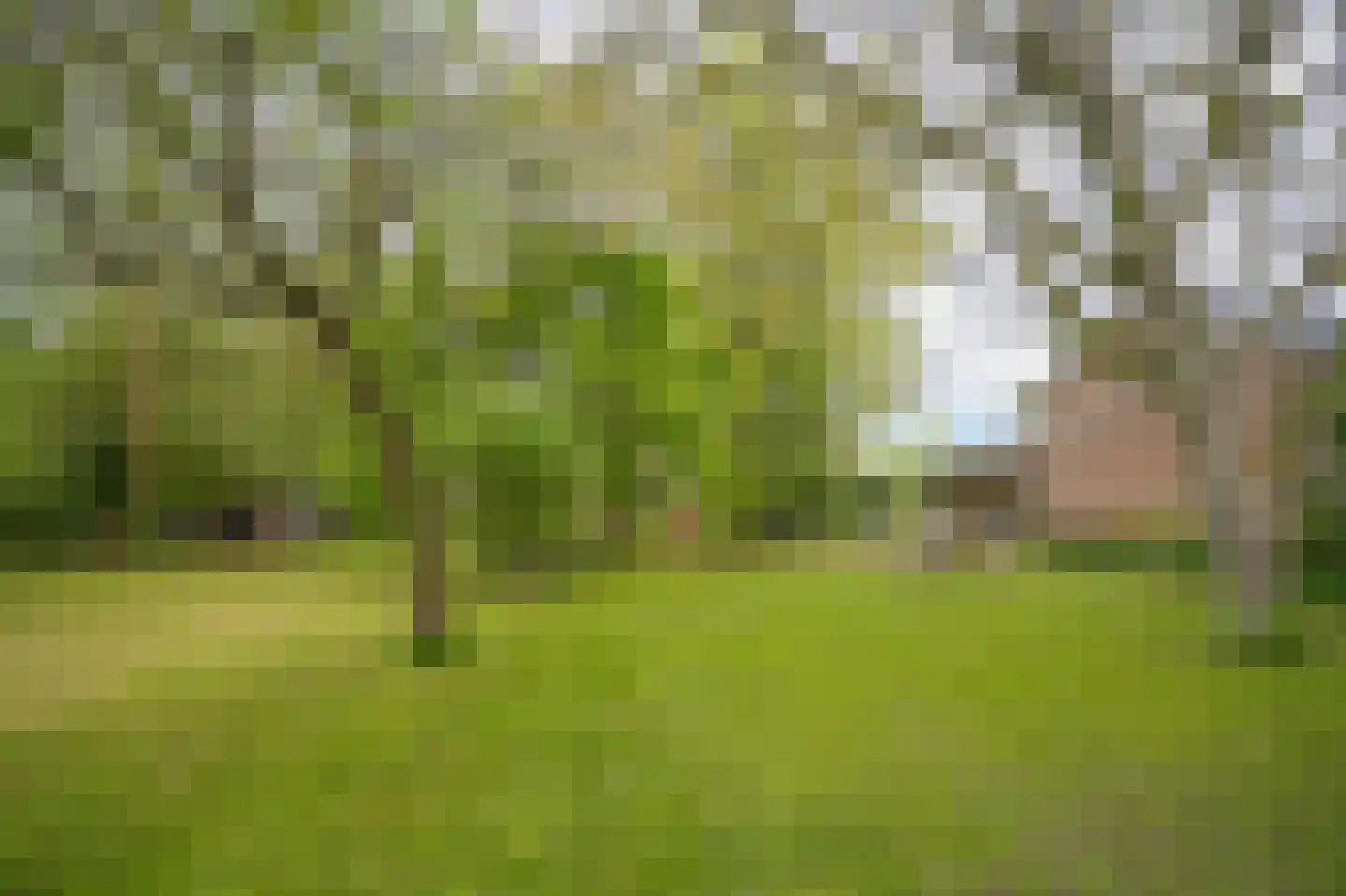 Steenweg 22 Zaltbommel thumbnail 64