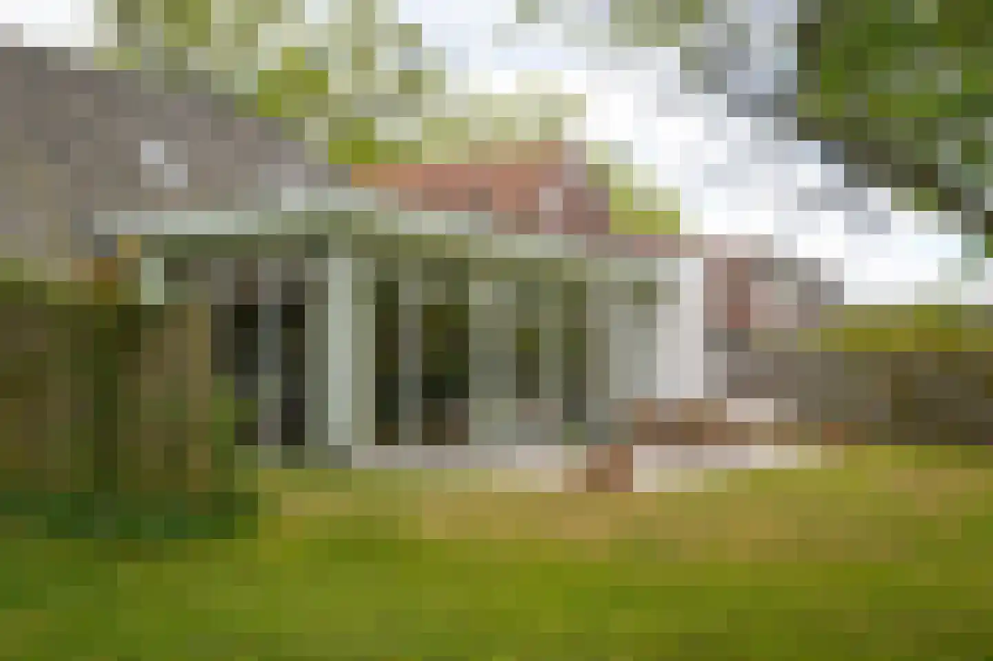 Steenweg 22 Zaltbommel thumbnail 65