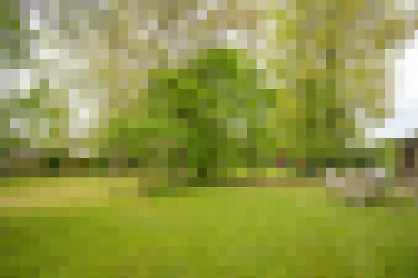 Steenweg 22 Zaltbommel thumbnail 66