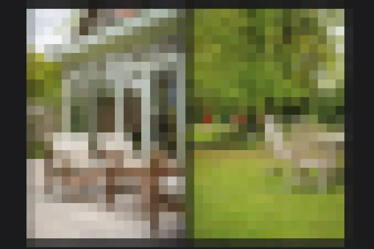 Steenweg 22 Zaltbommel thumbnail 67
